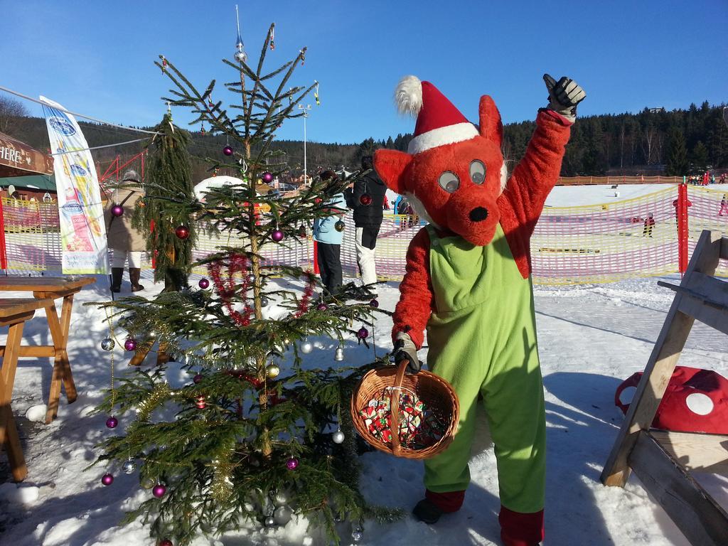 Appartamento Mysi V Bote Lipno Lipno nad Vltavou Esterno foto