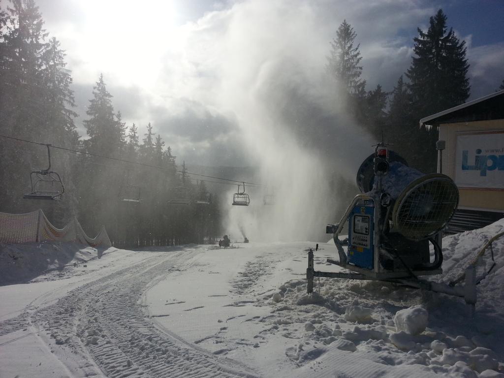 Appartamento Mysi V Bote Lipno Lipno nad Vltavou Esterno foto